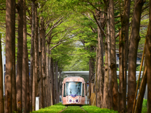 高雄輕軌又有「綠巨人隧道」！路網成圓 2月25日前搭乘免錢