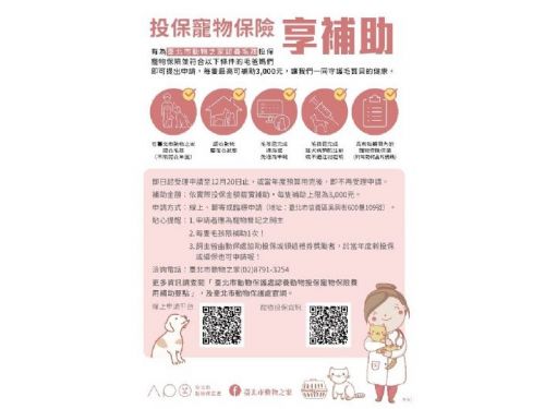 讓毛孩健康無憂！臺北市動保處推動寵物保險補助計畫