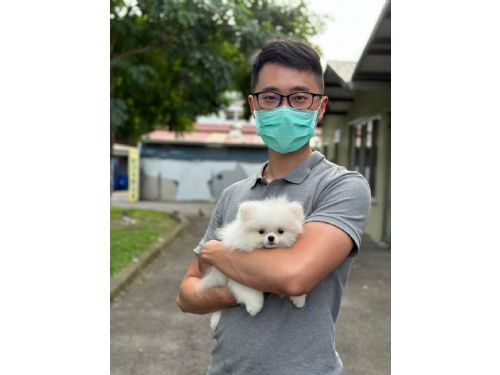 用愛與專業守護毛寶貝——林蔡祿醫師的多元工作日常