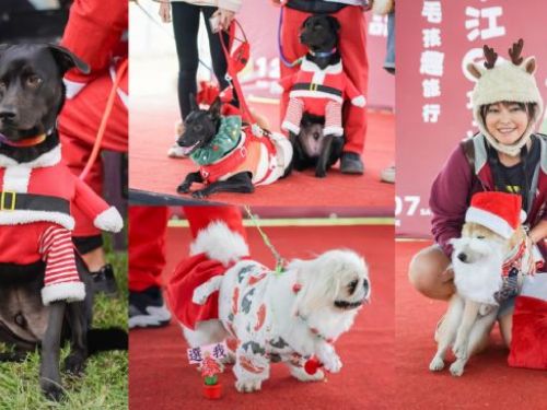 臺北市動保處舉辦「毛孩趣旅行，華江GO聖誕」活動，共襄歡樂聖誕盛宴