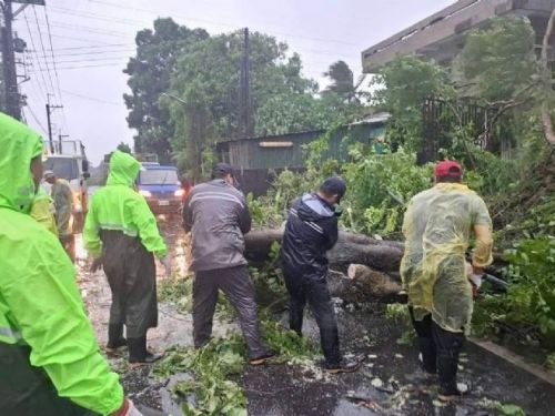 屏東縣政府呼籲：颱風後防治登革熱，清除孳生源刻不容緩