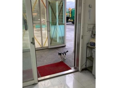 以為有客人！自動門一開「出現一台賓士」店員笑：來討債的