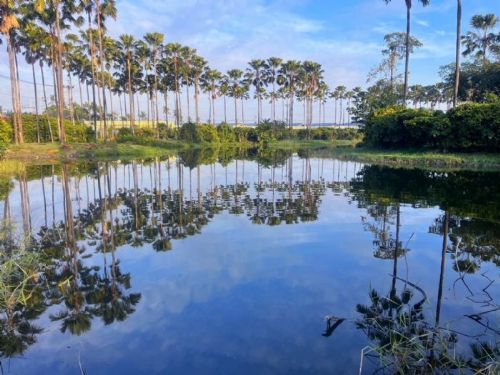 屏東縣持續領先，全力守護清澈水域：榮獲全國水污染防治特優殊榮