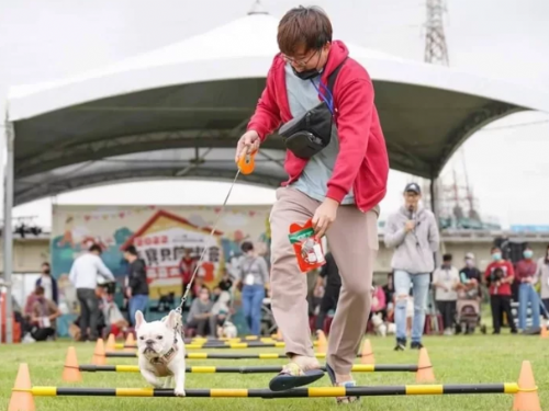 竹市將有新寵物公園了 毛小孩運動會9日樹林頭公園登場