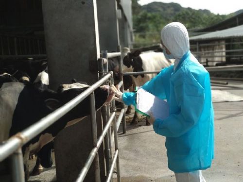 新北市推動鮮乳標章，保障民眾與動物健康