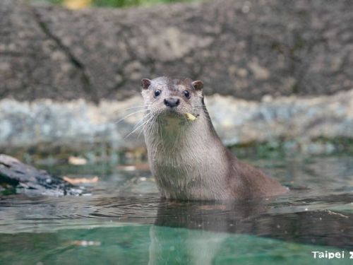 共護地球水資源，守護野生生態——一起迎接2025世界水資源日