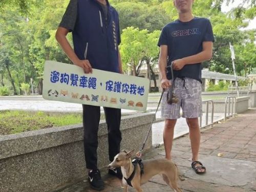 守護毛小孩健康與安全！動保處提醒飼主履行責任，共創友善寵物環境
