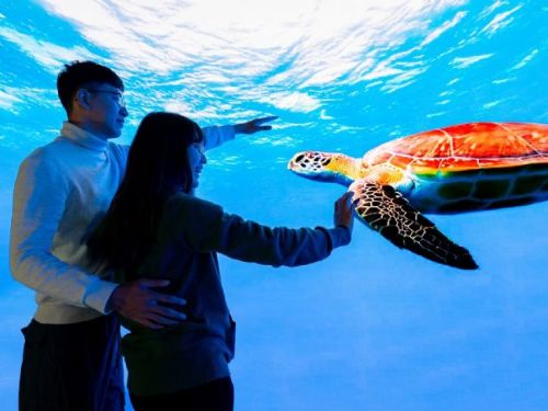 全臺首創！海生館打造沉浸式弧形LED攝影棚，帶您潛入神秘深海