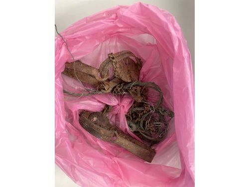 保護動物安全，嚴防非法陷阱傷害