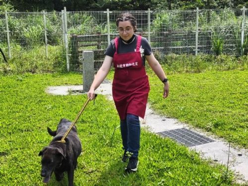 美國凱斯西儲大學學生訪台，走進瑞芳動物之家，感受愛與建築的雙重療癒