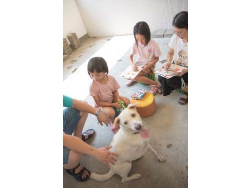 讓浪浪成為畫布上的明星—幸福毛孩生活課程