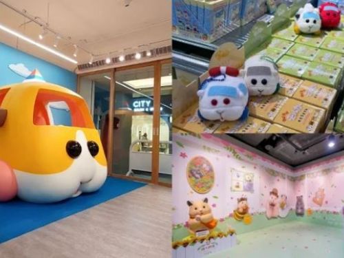 鼠友們集合！療癒系「真人尺寸天竺鼠車車」快閃赤峰街 超人氣「倉鼠助六」也將進駐華山園區