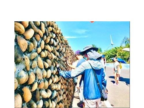 2025台中海洋觀光季登場！海洋環境教育熱潮席捲大安港