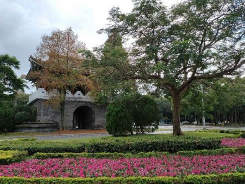 冬季限定陸蓮花綻放中山南路　自由廣場前化身城市花園焦點