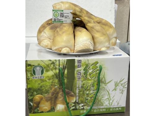 台灣綠竹筍：夏日清涼的綠色恩物