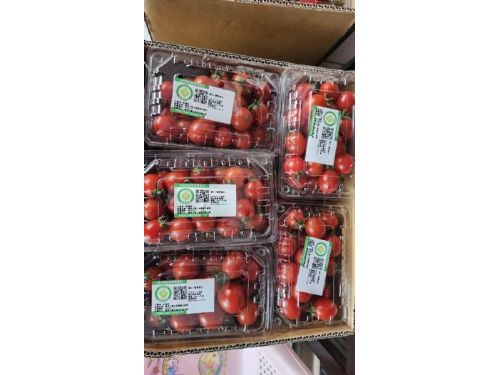 農曆新年，與家人共享臺灣產銷履歷番茄，健康又美味