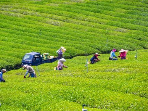 全球旅遊盛事ITB柏林旅展：來臺灣，品味無限魅力