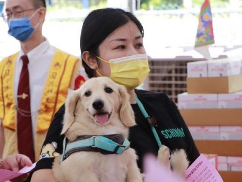 新北市攜手佛光山舉辦中元節動物祈福法會，傳遞尊重生命與愛護動物的理念