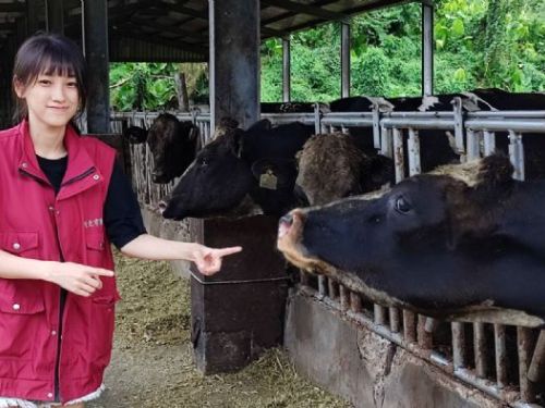 大學生暑期工讀新體驗：高郁婷的動物之家暖心之旅