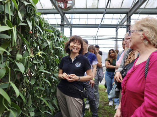 屏東林邊香草莢：光電與農業雙贏，獲得「ITI國際風味評鑑所」3星獎