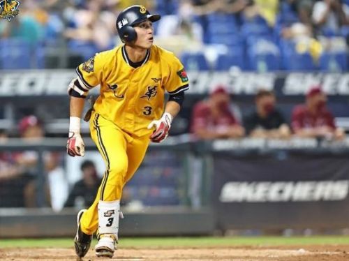 【中職專欄】兄弟該保護陳文杰還是曾頌恩？解析台鋼與中信的擴編選秀決策