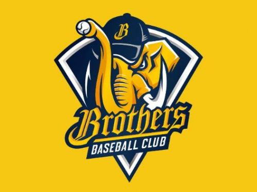 中信兄弟考慮引入PitchCom以加速職棒比賽