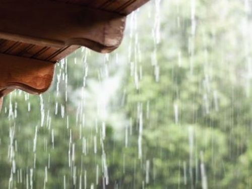 快樂度過梅雨季：居家防潮防霉全攻略