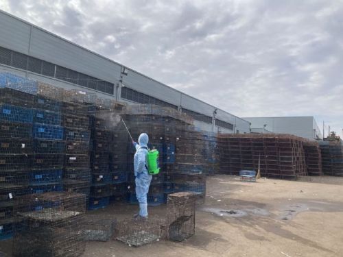 守護健康，臺北市動保處推出「野鴿不餵食」活動，提高市民對禽流感防護的認識