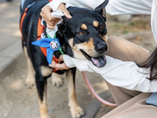 探索「好伴bàn」系列活動：周邊商品大放送！