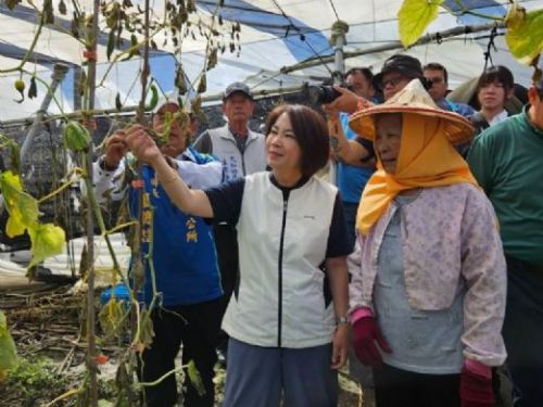 屏東農損嚴重，縣長周春米全力爭取救助與貸款協助農民早日復耕