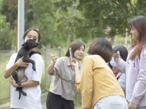 影像留住溫馨時光——動保處舉辦毛孩攝影師新手班