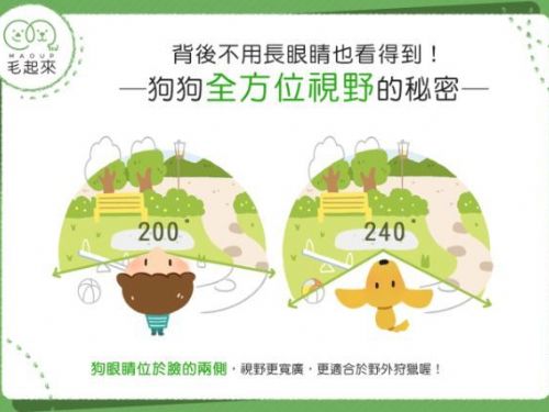 背後沒眼睛也看得到？狗狗全方位視野的秘密！