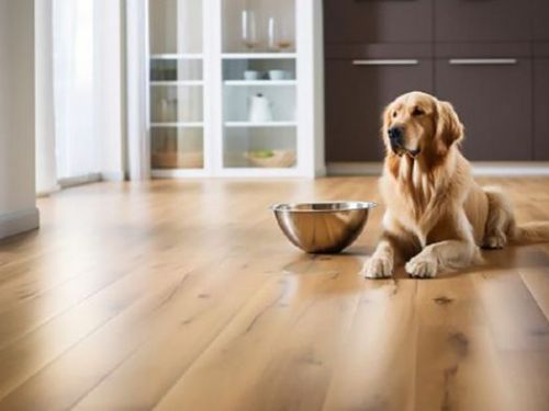 讓毛孩的家居更舒適：選擇適合寵物的地板材料
