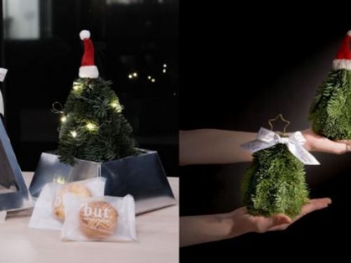 迷你版諾貝松聖誕樹太想收！Tiffeny Flower攜手but. we love butter推聯名禮盒