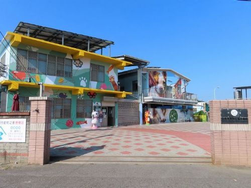 臺南市動物之家6/8~6/10適逢端午節國定假日連假將暫停對外開放