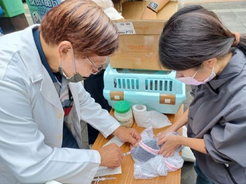 愛護毛孩，預防狂犬病！犬貓免費疫苗與晶片注射活動來了