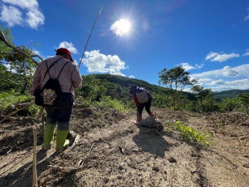 屏東縣推動綠色經濟，打造碳匯專案助力全球淨零排放目標