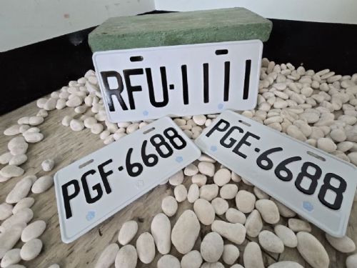 高雄區監理所開放網路競標租賃汽車與機車新式號牌，起標價2,000元