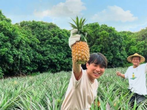 水果季節盛開！歡樂的夏日等你來享受！