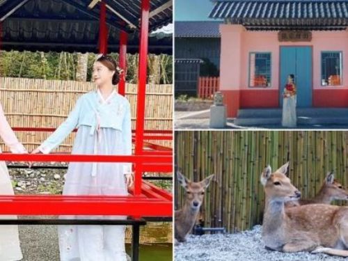 花蓮最新韓風景點「張家韓園」！免費穿韓服打卡廣福宮、親子餵食迷你動物園，還有高CP值韓式9宮格火鍋