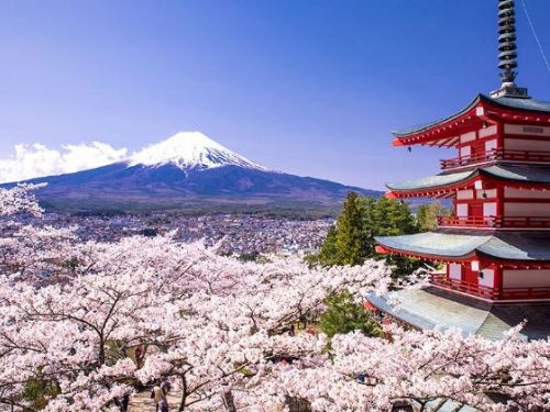 日本擬修改免稅制度，計劃實施「先付後退」，預計將在2025年度後生效