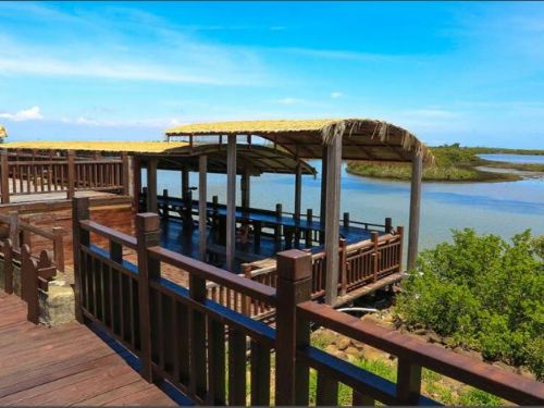 黑面琵鷺報到！六大濱海賞鳥點公開　搭配聖誕燈節、冬旅行程一次看