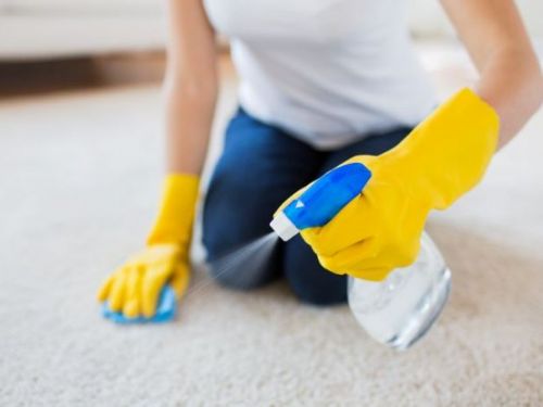 延長地毯壽命：5個清潔技巧讓你愛上地毯