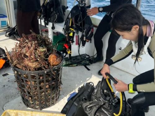 小琉球海洋志工隊堅守守護海洋16載，攜手共創低碳永續未來