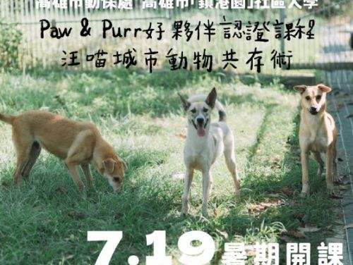 Paw & Purr 毛小孩好夥伴暑期認證課程