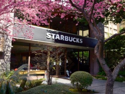 春天的浪漫：在櫻花樹下享受星巴克的咖啡時光