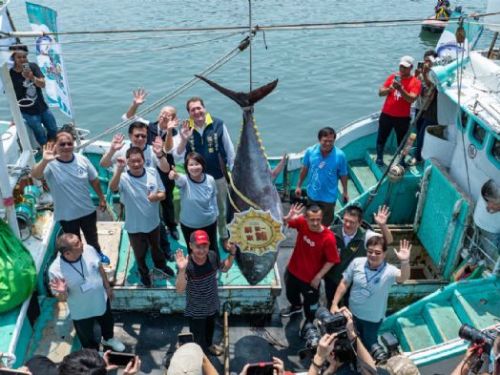 屏東第一鮪拍賣熱鬧登場！224公斤巨鮪拍出230萬7200元，助力在地漁民