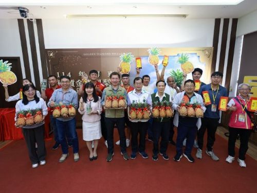 屏東金鑽鳳梨評鑑盛大揭曉，農民創新高水準成果