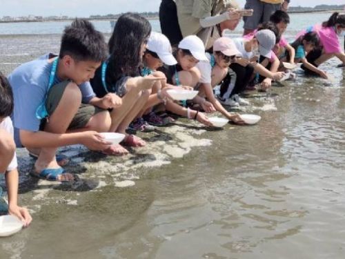 海科大手拉小手，守護鱟的未來