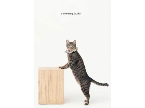 「三牲寵物攝影師」助力新北動物之家  發起攝影巡迴活動助認養